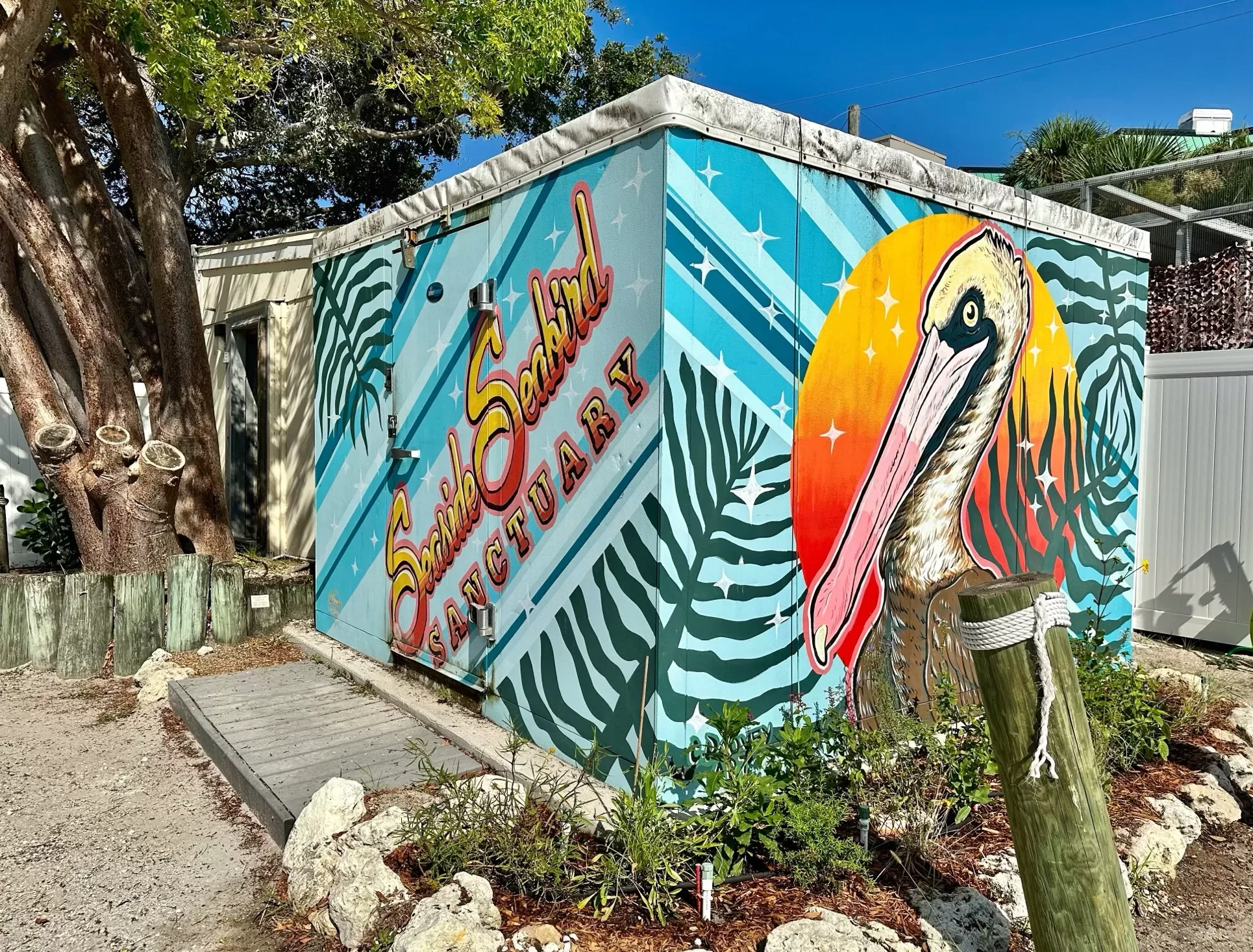 The Best Free Things To Do in Tampa Bay: Fascinating Florida ...